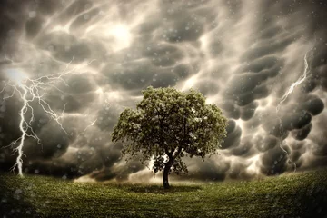 Keuken spatwand met foto Stormy tree landscape © parabolstudio