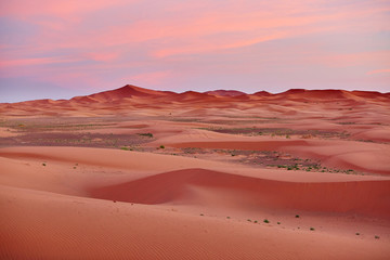 View of Sahara desert in Merzouga, Morocco, at sunset © Ekaterina Pokrovsky