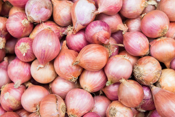 Red onion bulb,Soft focus