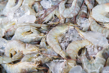 Fresh shrimp at the market