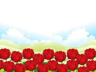 バラ　空　背景