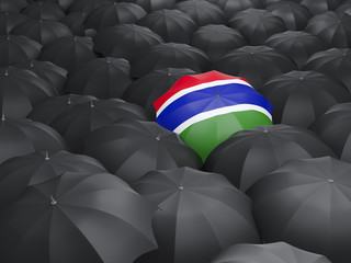 Umbrella with flag of gambia