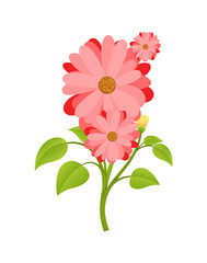 Flowers Branch Vector