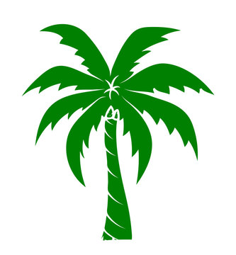 Gree Palm Tree