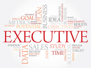 Fototapeta premium Executive word cloud, business concept