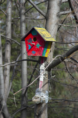 bright birdhouse
