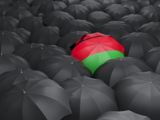 Umbrella with flag of malawi