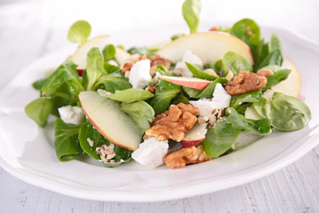 salad with apple,walnut and cheese