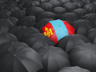 Umbrella with flag of mongolia