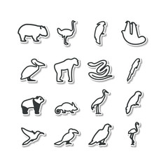 Fototapeta premium Tropics, Australia