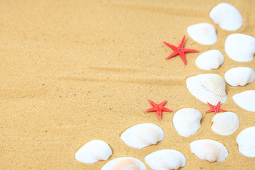 Seashells and starfish on sand