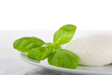 Fototapeta premium Mozzarella mit frischem Basilikum