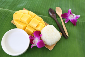 Fototapeta na wymiar Ripe mango sticky rice.