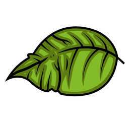 Naklejka premium Green Leaf Vector