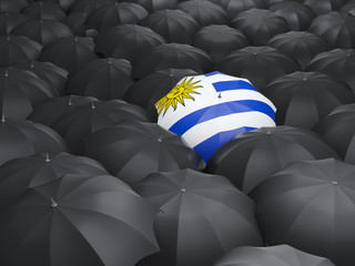 Umbrella with flag of uruguay