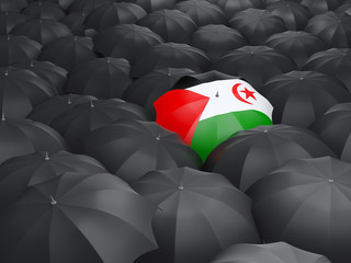 Umbrella with flag of western sahara
