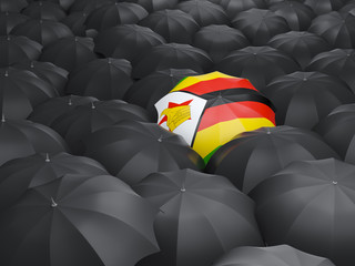 Umbrella with flag of zimbabwe