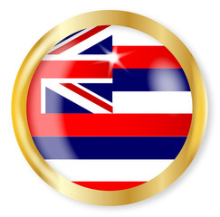 Hawaii Flag Button