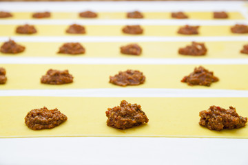 Making tasty italian Ravioli grandi, step by step proces