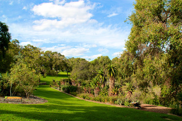King's park Perth