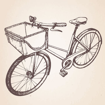 Hand drawn vintage/retro bicycle. Vector