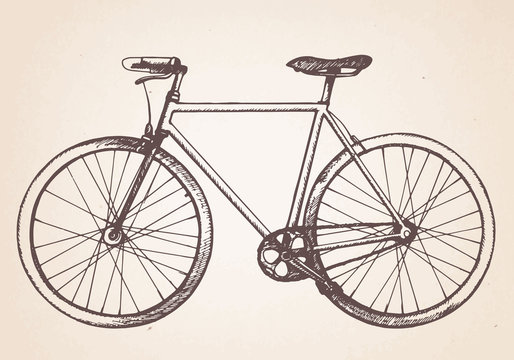 Hand drawn vintage bicycle. Vector
