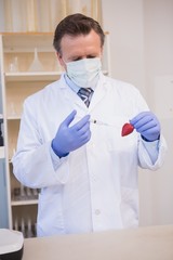 Fototapeta na wymiar Scientist injecting strawberry