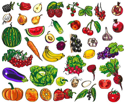 vegetables, fruits, berries