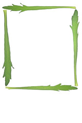 Frame made of Oxeye Daisy Leaves