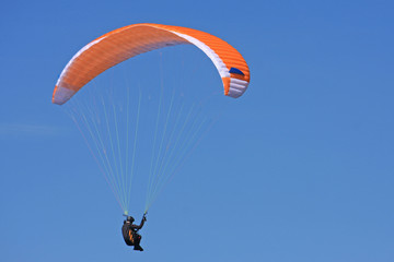 paraglider