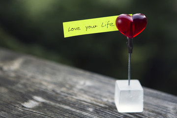 handwritten quote: "love your life"