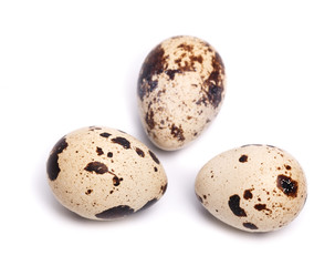 Obraz premium quail eggs