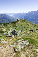 Giardino roccioso in montagna