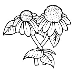 Retro Blossoms Drawing Vector