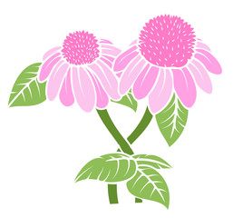 Vintage Pink Blossoms