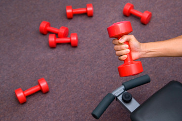 Trainer Hand with Dumbbell Exercise in Fitness