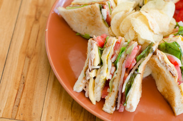 Healthy Tuna Sandwich with Vegetable