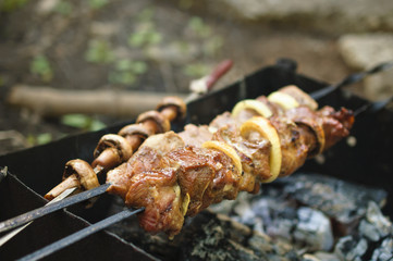 shish kebab on skewers