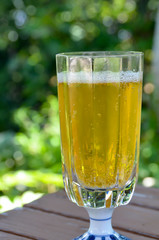 glass of beer in garden terrace