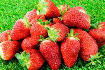 several strawberries on green grass