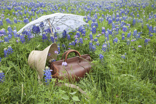 Old suitcase,bonnet and parasol in a field of bluebonnets