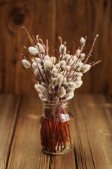 Bouquet of pussy willow twigs in glass jar on wooden background © alexeyborodin