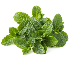 Fresh mint herb leaves isolated on white background cutout