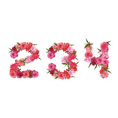 Alphabet of pink beautiful sakura flowers letters nature