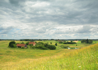 horse on green fields