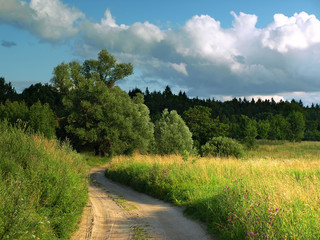 Fototapeta na wymiar summer rural landscape