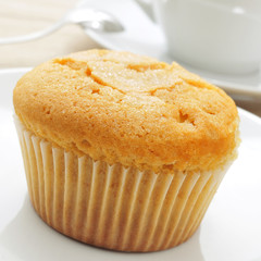 magdalena, typical spanish plain muffin