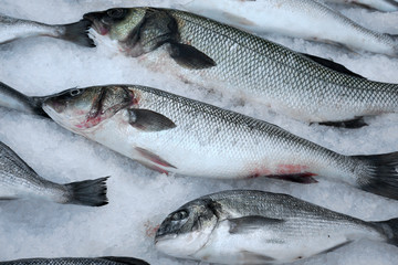 Fresh saltwater fish on crushed ice.