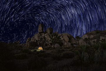 Long Exposure Star Trails In Joshua Tree National Park
