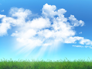 Obraz na płótnie Canvas Grass against a cloudy blue sky